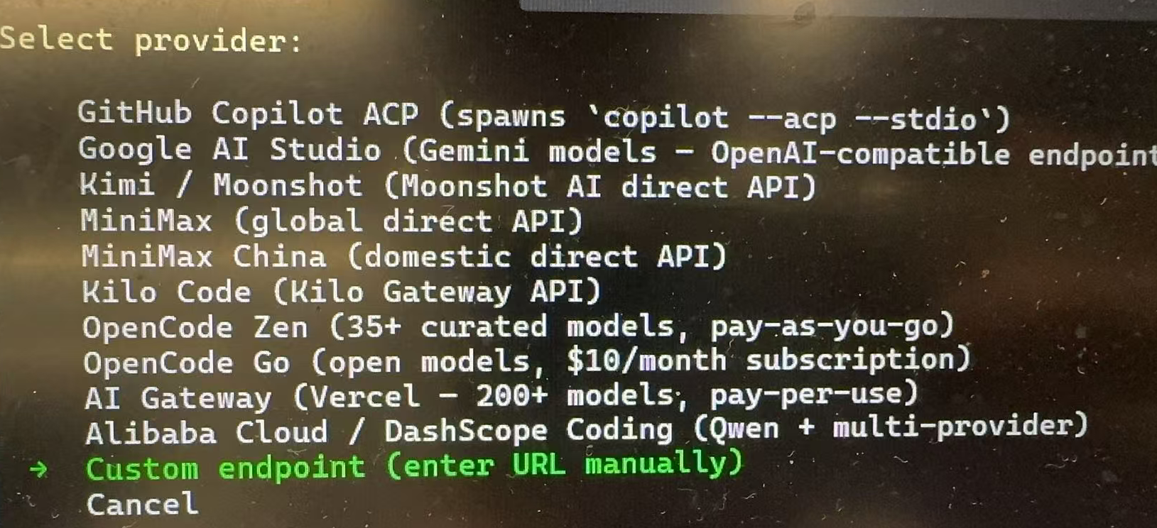 Hermes를 설치한 터미널의 제공자 선택 화면입니다. 위쪽에는 ‘Select provider:’가 표시되고 아래에는 GitHub Copilot ACP, Google AI Studio 등의 제공자 옵션이 있습니다. 녹색 화살표로 ‘Custom endpoint (enter URL manually)’가 강조되어 URL을 직접 입력할 수 있음을 보여 줍니다. 사용자 지정 제공자를 선택하여 URL을 직접 입력하는 단계입니다.