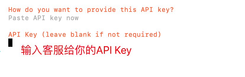OpenClaw 설정 과정의 API 키 입력 화면입니다. 고객 지원에서 받은 API Key를 입력하라는 빨간색 안내와 API Key 입력란이 있으며 ‘API Key (leave blank if not required)’라는 설명도 표시됩니다. 위쪽에는 ‘Paste API key now’라는 안내가 있습니다. OpenClaw 모델 설정에 필요한 핵심 입력 단계입니다.